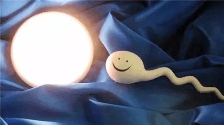 院长